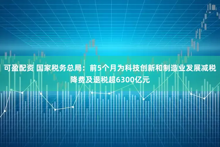 可盈配资 国家税务总局：前5个月为科技创新和制造业发展减税降费及退税超6300亿元