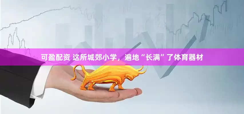 可盈配资 这所城郊小学，遍地“长满”了体育器材